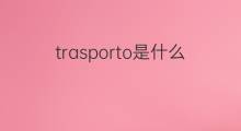 trasporto是什么意思 trasporto的中文翻译、读音、例句