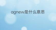 agnew是什么意思 agnew的中文翻译、读音、例句