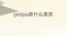 petipa是什么意思 英文名petipa的翻译、发音、来源