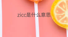 zicc是什么意思 zicc的中文翻译、读音、例句