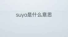 suya是什么意思 suya的中文翻译、读音、例句
