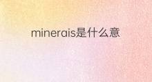 minerais是什么意思 minerais的中文翻译、读音、例句