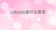 calzada是什么意思 calzada的中文翻译、读音、例句