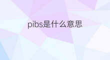 pibs是什么意思 pibs的中文翻译、读音、例句