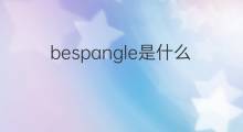 bespangle是什么意思 bespangle的中文翻译、读音、例句