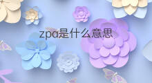 zpa是什么意思 zpa的中文翻译、读音、例句