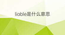 liable是什么意思 liable的中文翻译、读音、例句