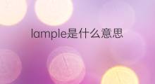 lample是什么意思 lample的中文翻译、读音、例句