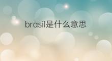 brasil是什么意思 brasil的中文翻译、读音、例句