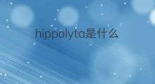 hippolyta是什么意思 hippolyta的翻译、读音、例句、中文解释