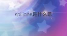 spillone是什么意思 spillone的中文翻译、读音、例句