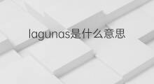 lagunas是什么意思 lagunas的中文翻译、读音、例句