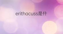 erithacuss是什么意思 erithacuss的中文翻译、读音、例句