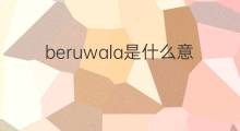 beruwala是什么意思 beruwala的中文翻译、读音、例句