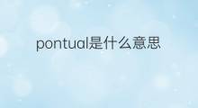 pontual是什么意思 pontual的中文翻译、读音、例句