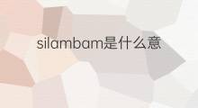 silambam是什么意思 silambam的中文翻译、读音、例句