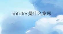 notates是什么意思 notates的翻译、读音、例句、中文解释