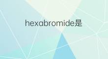 hexabromide是什么意思 hexabromide的中文翻译、读音、例句