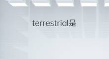 terrestrial是什么意思 terrestrial的中文翻译、读音、例句