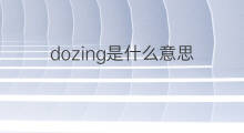 dozing是什么意思 dozing的中文翻译、读音、例句