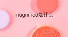 magnified是什么意思 magnified的中文翻译、读音、例句