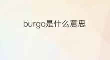 burgo是什么意思 burgo的翻译、读音、例句、中文解释