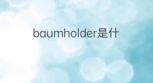 baumholder是什么意思 baumholder的中文翻译、读音、例句