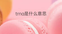 trna是什么意思 trna的中文翻译、读音、例句