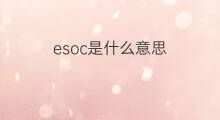 esoc是什么意思 esoc的中文翻译、读音、例句
