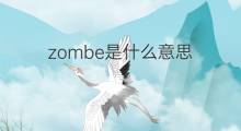 zombe是什么意思 zombe的中文翻译、读音、例句