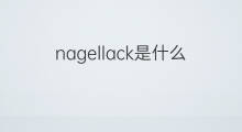 nagellack是什么意思 nagellack的中文翻译、读音、例句
