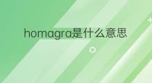 homagra是什么意思 homagra的中文翻译、读音、例句