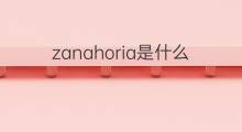 zanahoria是什么意思 zanahoria的中文翻译、读音、例句
