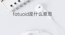 fatuoid是什么意思 fatuoid的翻译、读音、例句、中文解释
