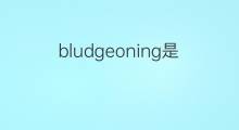 bludgeoning是什么意思 bludgeoning的翻译、读音、例句、中文解释