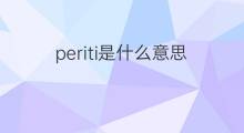 periti是什么意思 periti的中文翻译、读音、例句