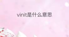 vinit是什么意思 vinit的中文翻译、读音、例句