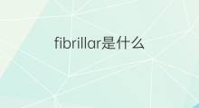 fibrillar是什么意思 fibrillar的中文翻译、读音、例句