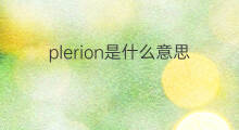 plerion是什么意思 plerion的中文翻译、读音、例句