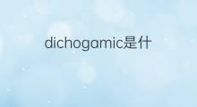 dichogamic是什么意思 dichogamic的中文翻译、读音、例句