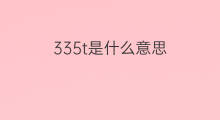 335t是什么意思 335t的中文翻译、读音、例句
