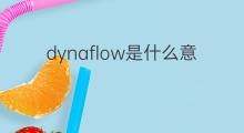 dynaflow是什么意思 dynaflow的中文翻译、读音、例句