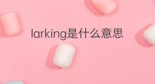 larking是什么意思 larking的中文翻译、读音、例句