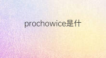 prochowice是什么意思 prochowice的中文翻译、读音、例句