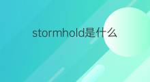 stormhold是什么意思 stormhold的中文翻译、读音、例句