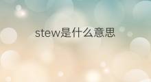 stew是什么意思 stew的中文翻译、读音、例句