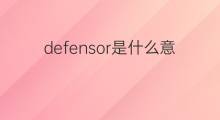 defensor是什么意思 defensor的中文翻译、读音、例句