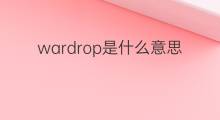wardrop是什么意思 wardrop的翻译、读音、例句、中文解释