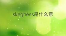 skegness是什么意思 skegness的中文翻译、读音、例句