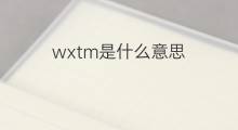 wxtm是什么意思 wxtm的中文翻译、读音、例句